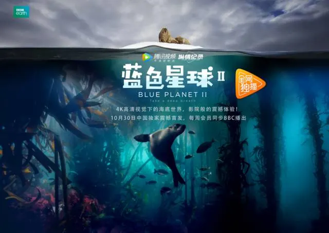 18岁禁止免费网站剧照1