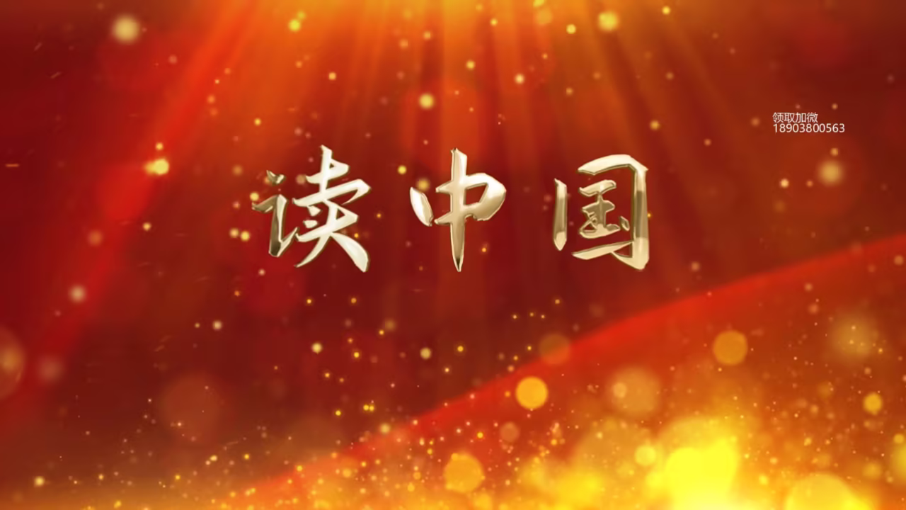 黑帮大佬和我的365天剧照3